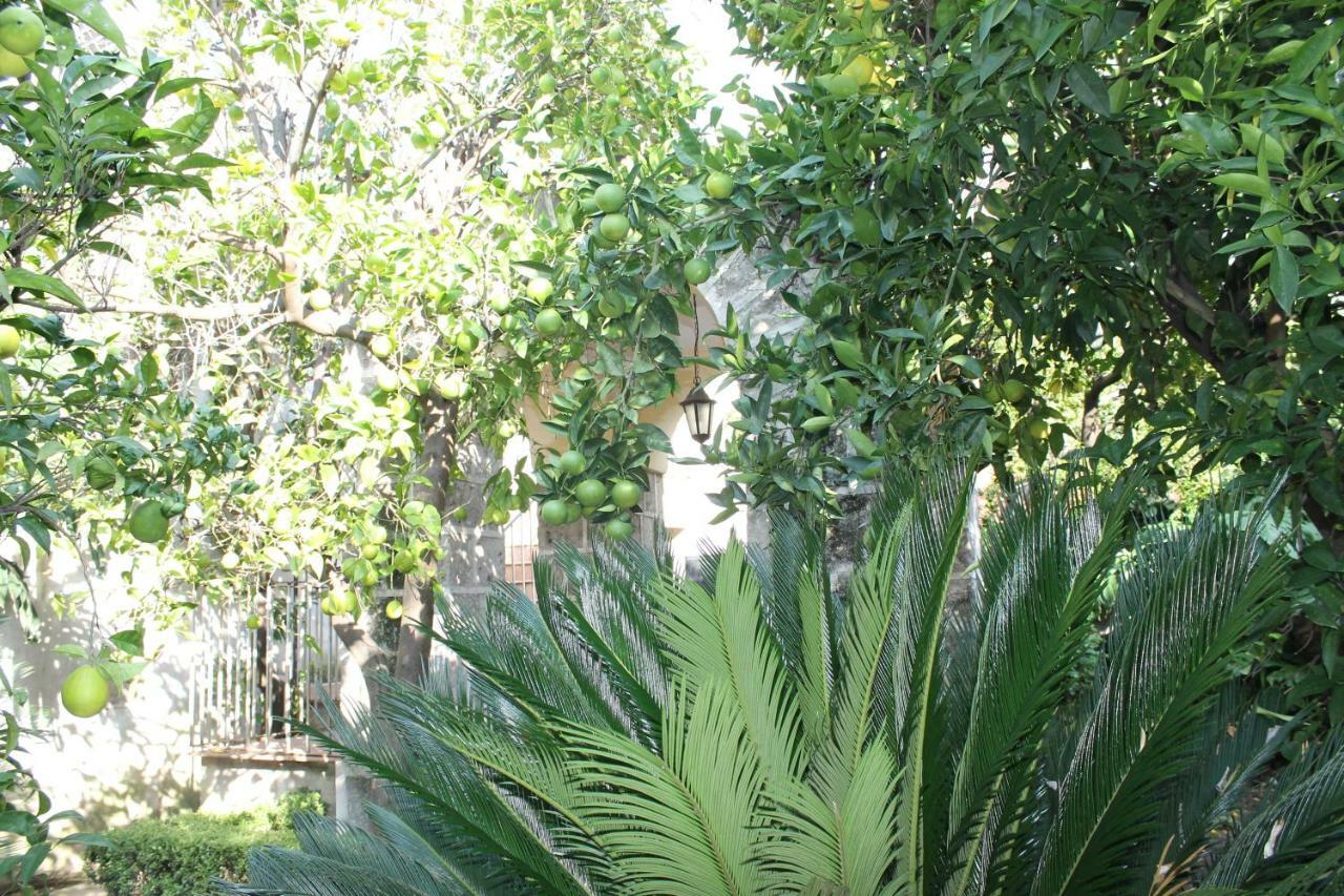 La Lanciolla Daire Maddaloni Dış mekan fotoğraf